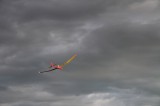 IMG 8872